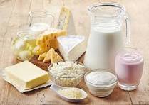 Dairy